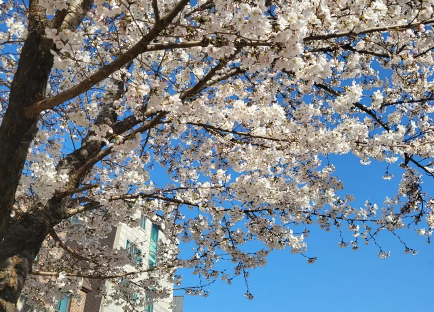 Hongdae # Stay S101 Seoul South Korea